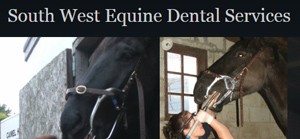 dental