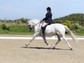SY3A7956